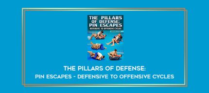 The Pillars of Defense: Pin Escapes - Defensive to Offensive Cycles Online courses